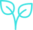plant-stem.png